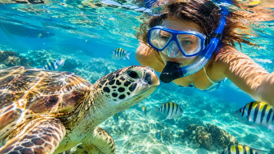Best Snorkeling Near San Juan Short Trips from the Capital
