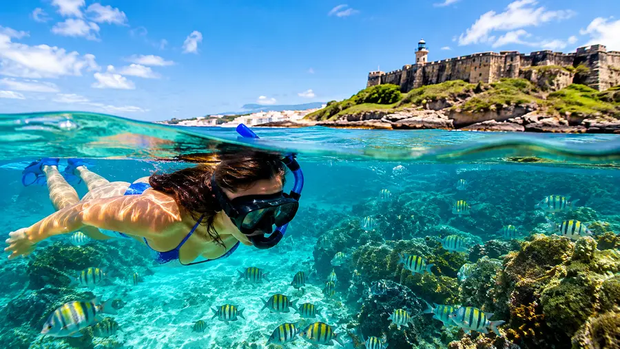 Best Snorkeling Near San Juan Short Trips from the Capital