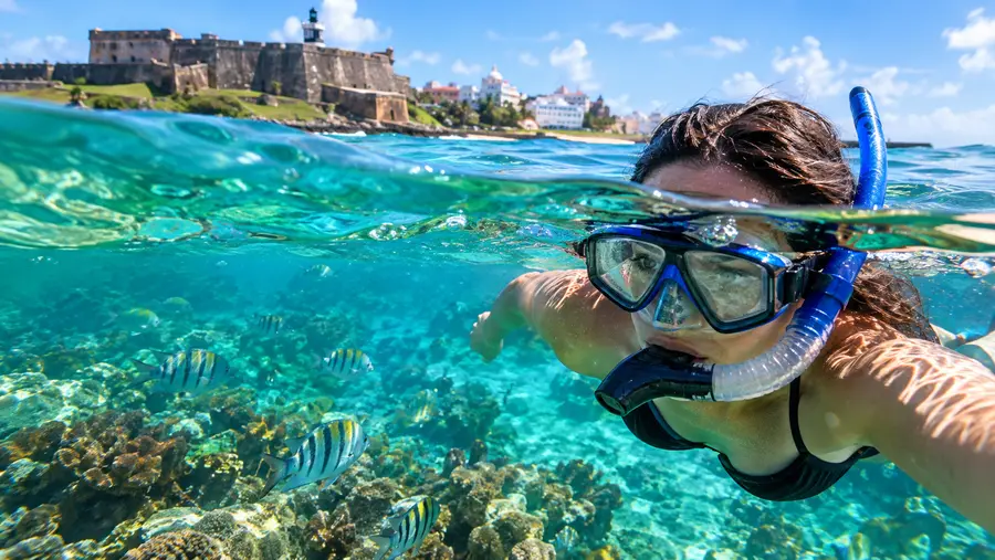 Best Snorkeling Tours in San Juan Top Excursions 2026