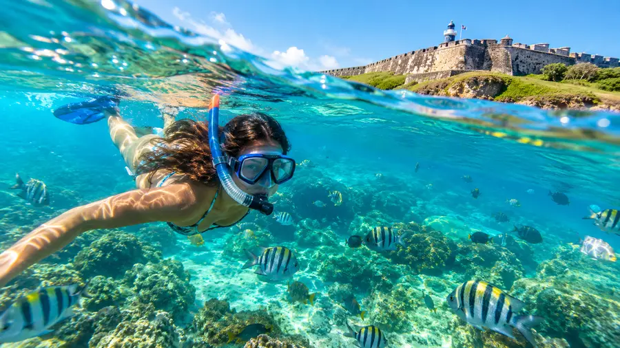 Best Snorkeling Tours in San Juan Top Excursions 2026
