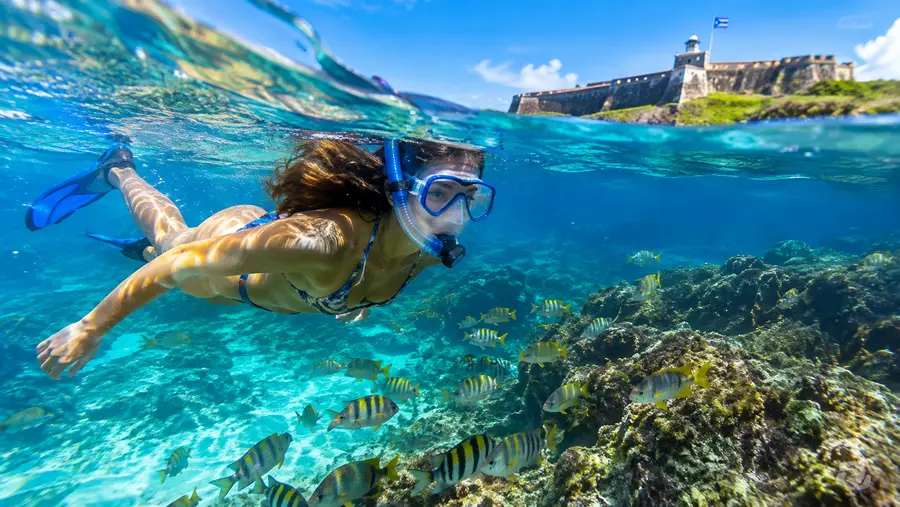 Capturing Memories Underwater Photography in San Juan