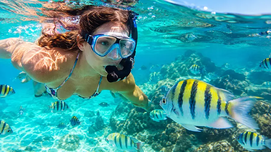 Culebra Day Trip from San Juan Snorkeling Flamenco Beach