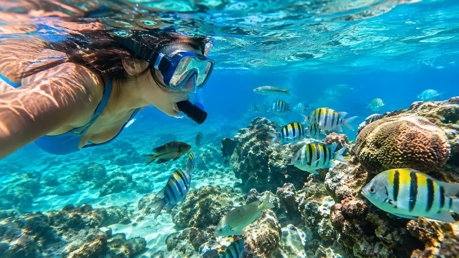 Escambron Marine Park San Juans Best Snorkel Spot