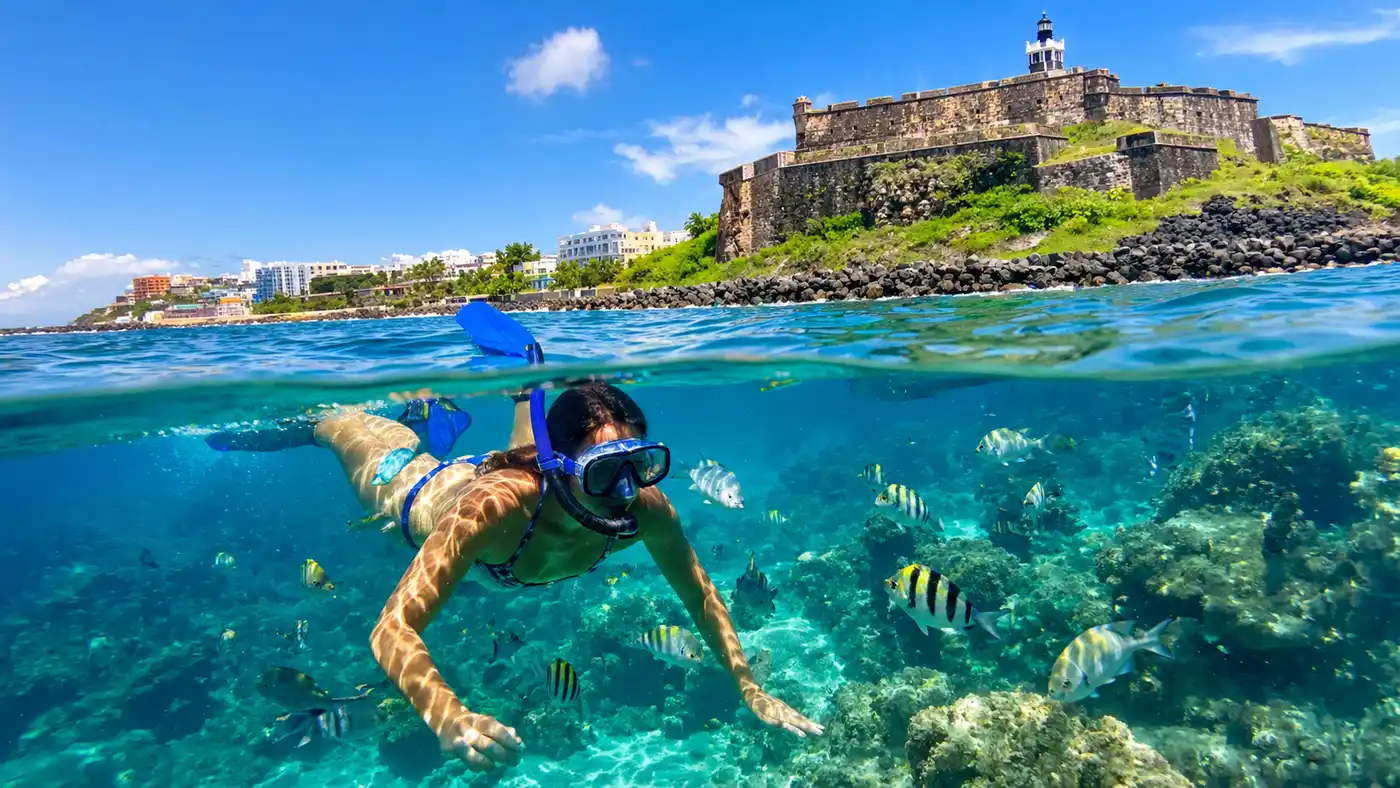 Exploring the Marine Life Around San Juan