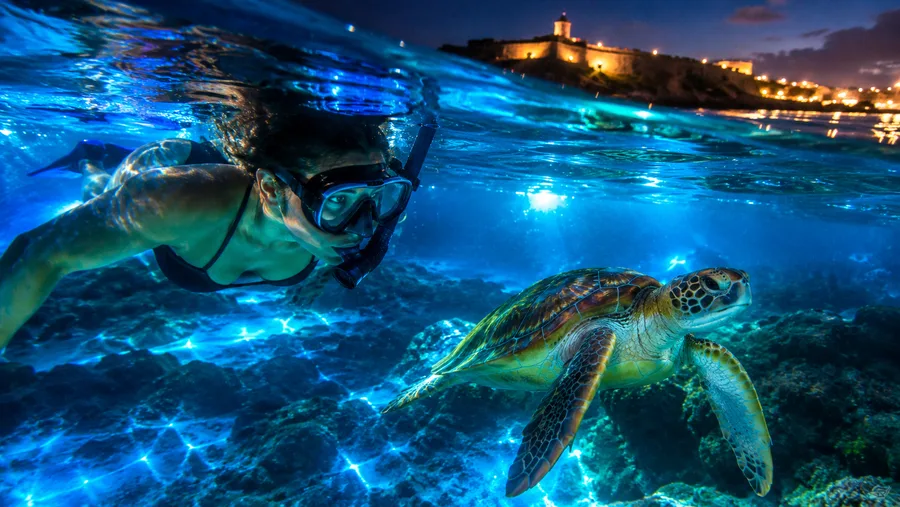 Night Snorkeling in San Juan a Glowing Experience