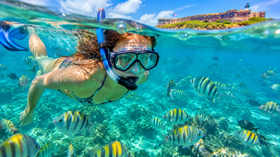 Snorkeling Excursions from San Juan Top Day Trips