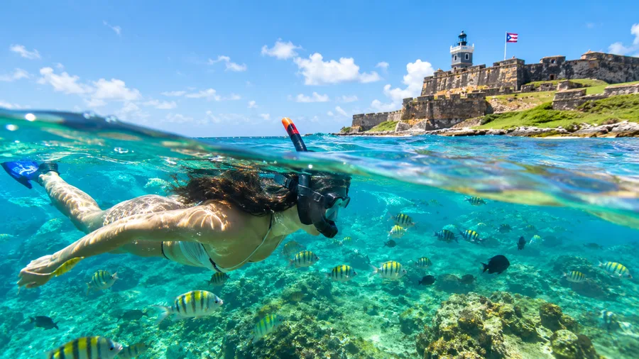 Snorkeling Excursions from San Juan Top Day Trips