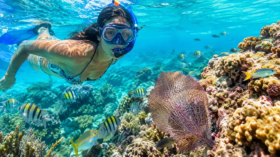 The Reefs of Puerto Rico Beyond San Juan