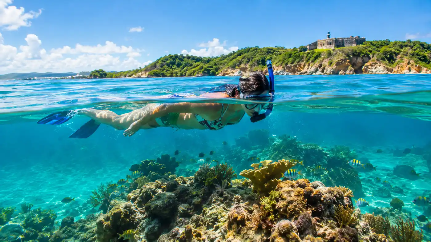 The Reefs of Puerto Rico Beyond San Juan
